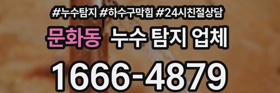 문화동 누수 탐지 업체