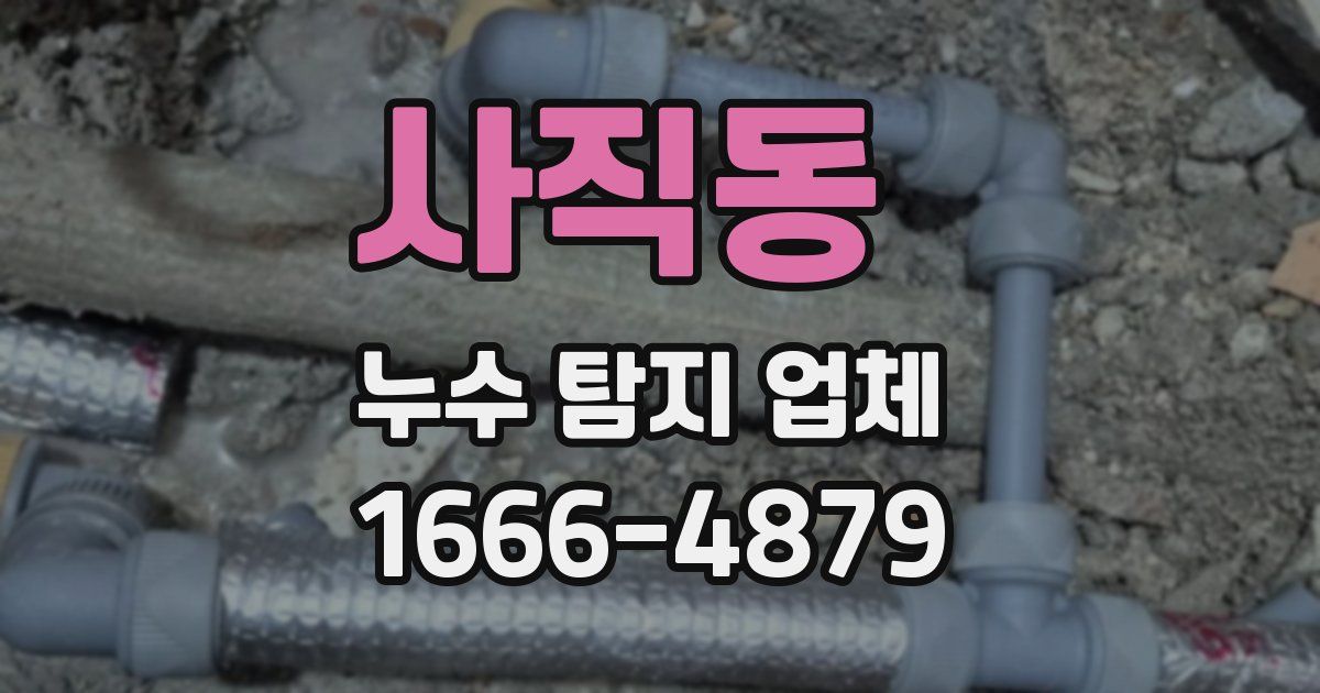 사직동 누수 탐지 업체