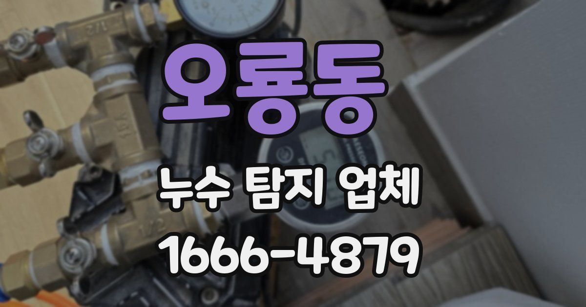 오룡동 누수 탐지 업체