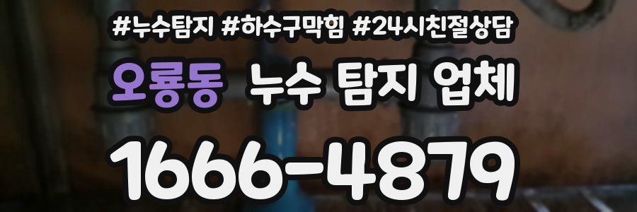 오룡동 누수 탐지 업체