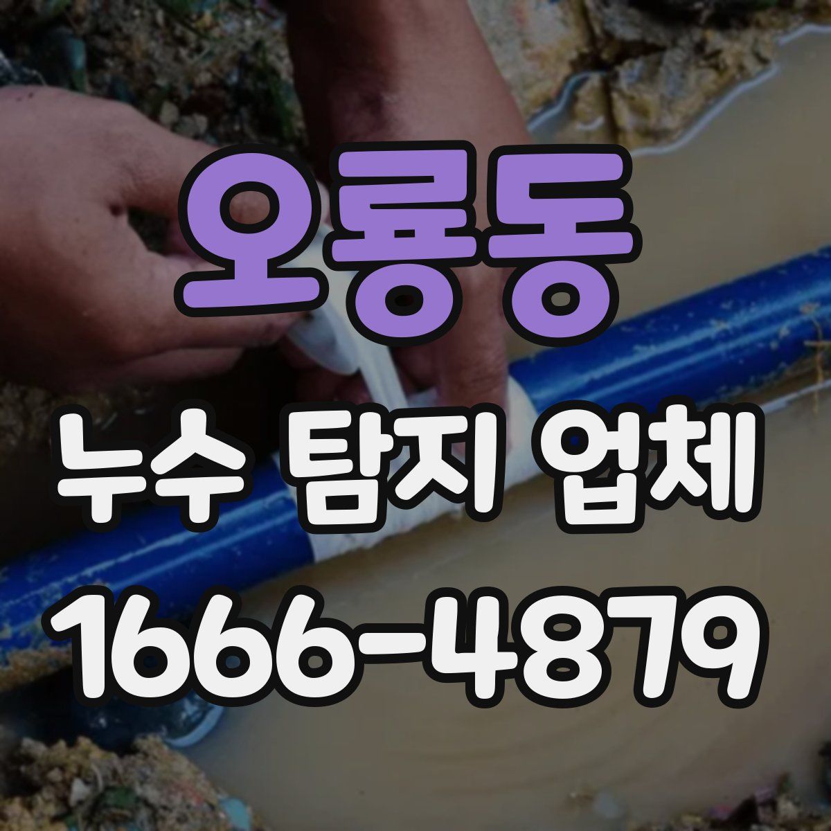 오룡동 누수 탐지 업체