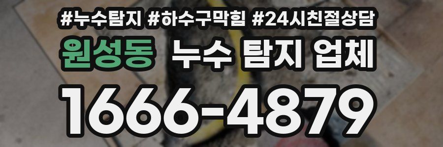 원성동 누수 탐지 업체