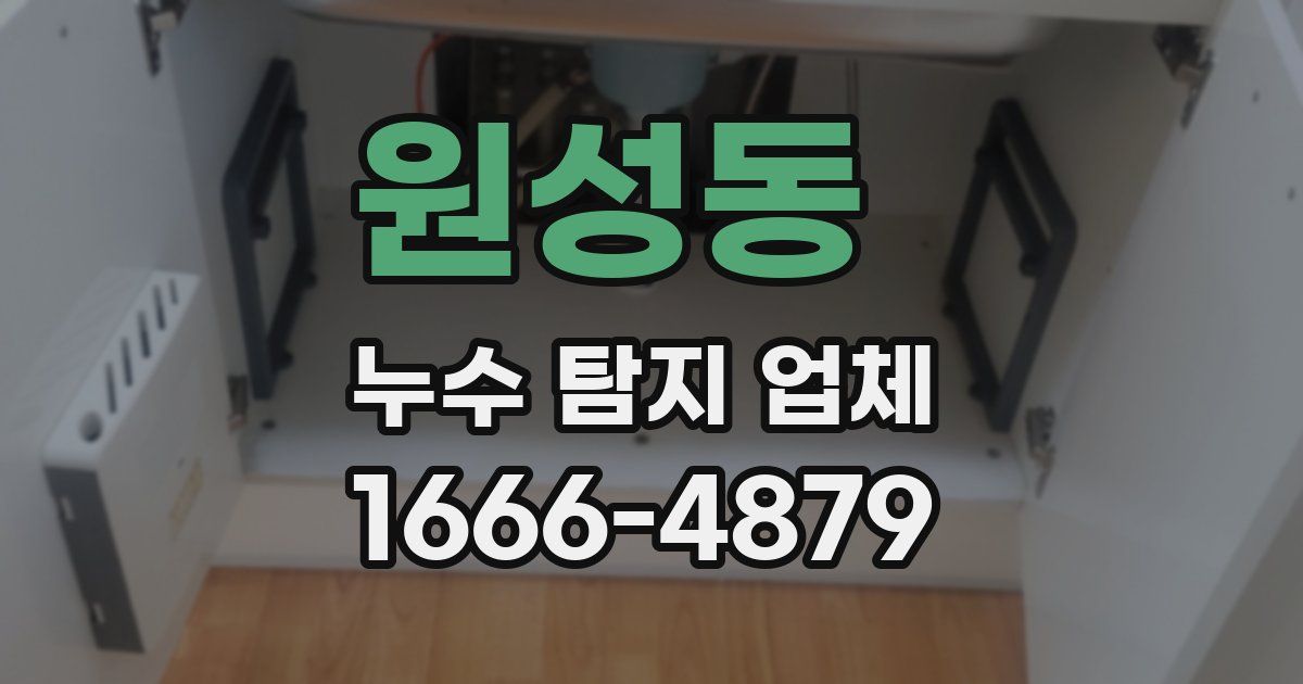 원성동 누수 탐지 업체