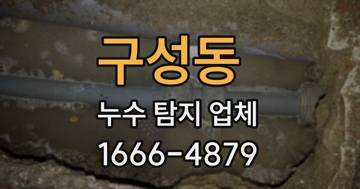 구성동 누수 탐지 업체