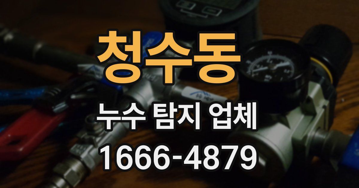청수동 누수 탐지 업체
