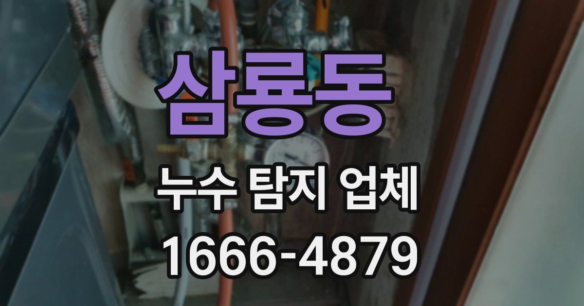 삼룡동 누수 탐지 업체
