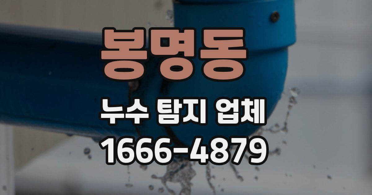 봉명동 누수 탐지 업체