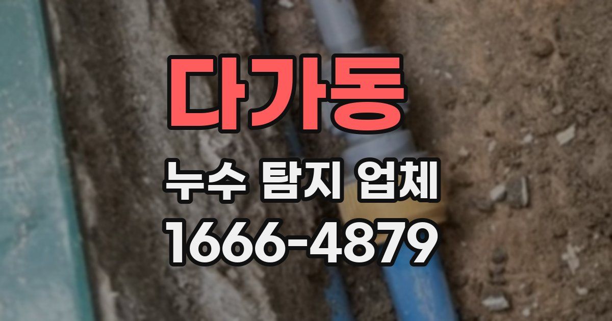 다가동 누수 탐지 업체