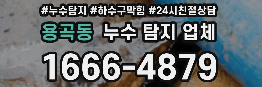 용곡동 누수 탐지 업체
