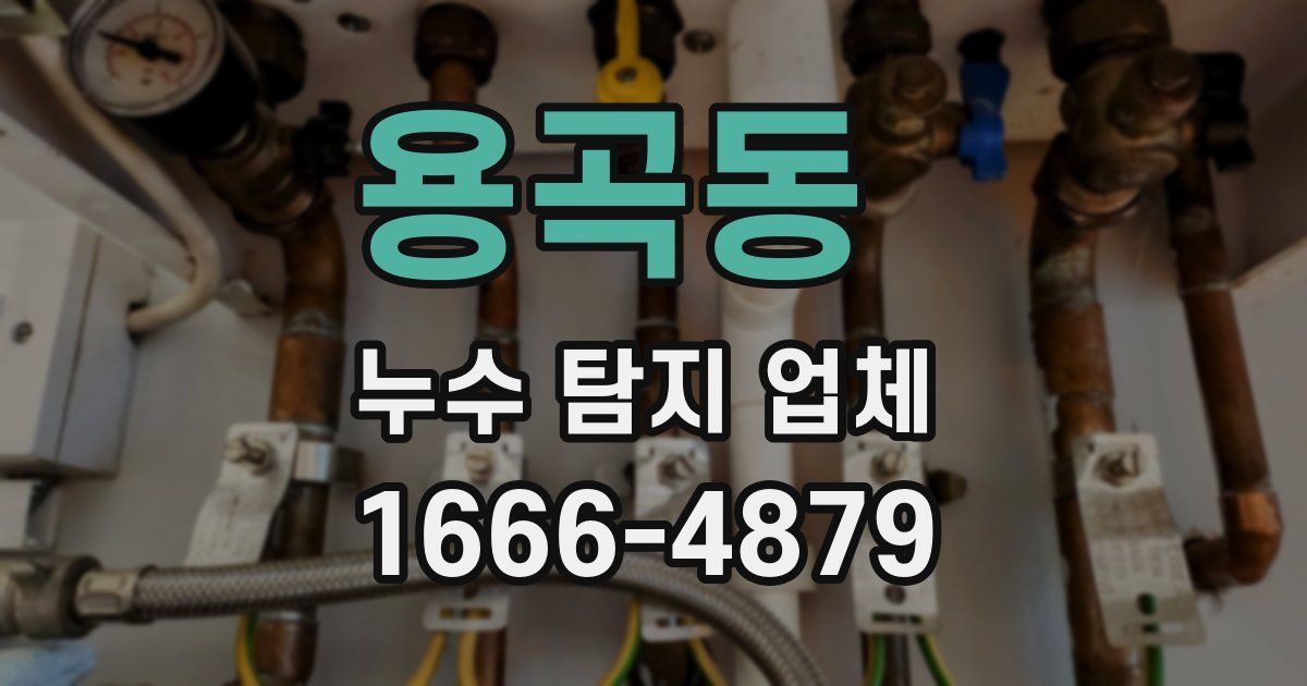 용곡동 누수 탐지 업체