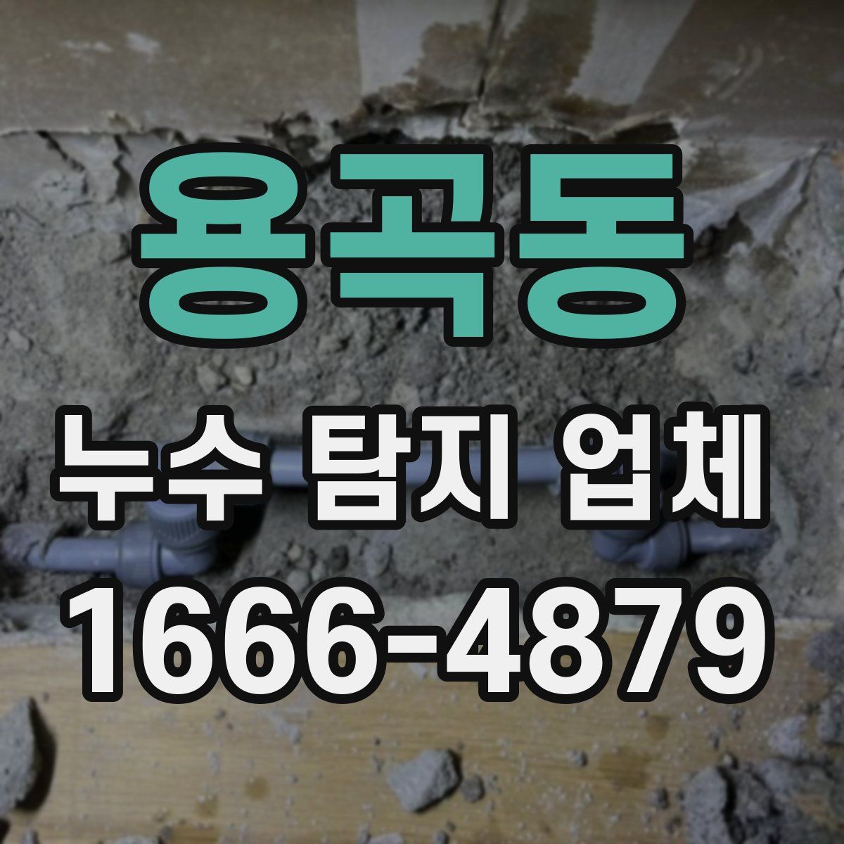 용곡동 누수 탐지 업체
