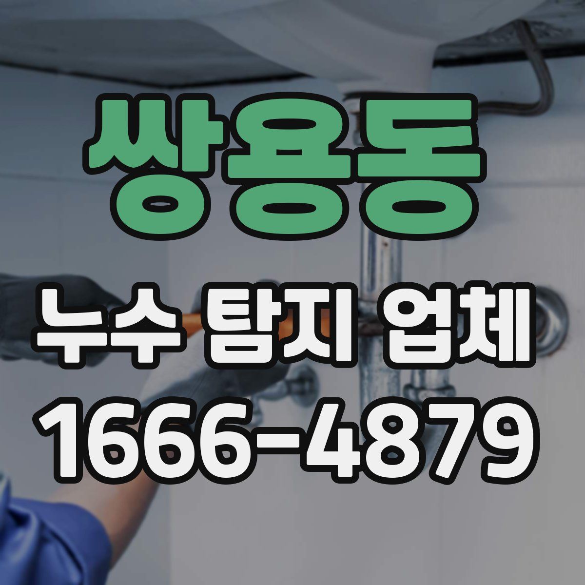 쌍용동 누수 탐지 업체