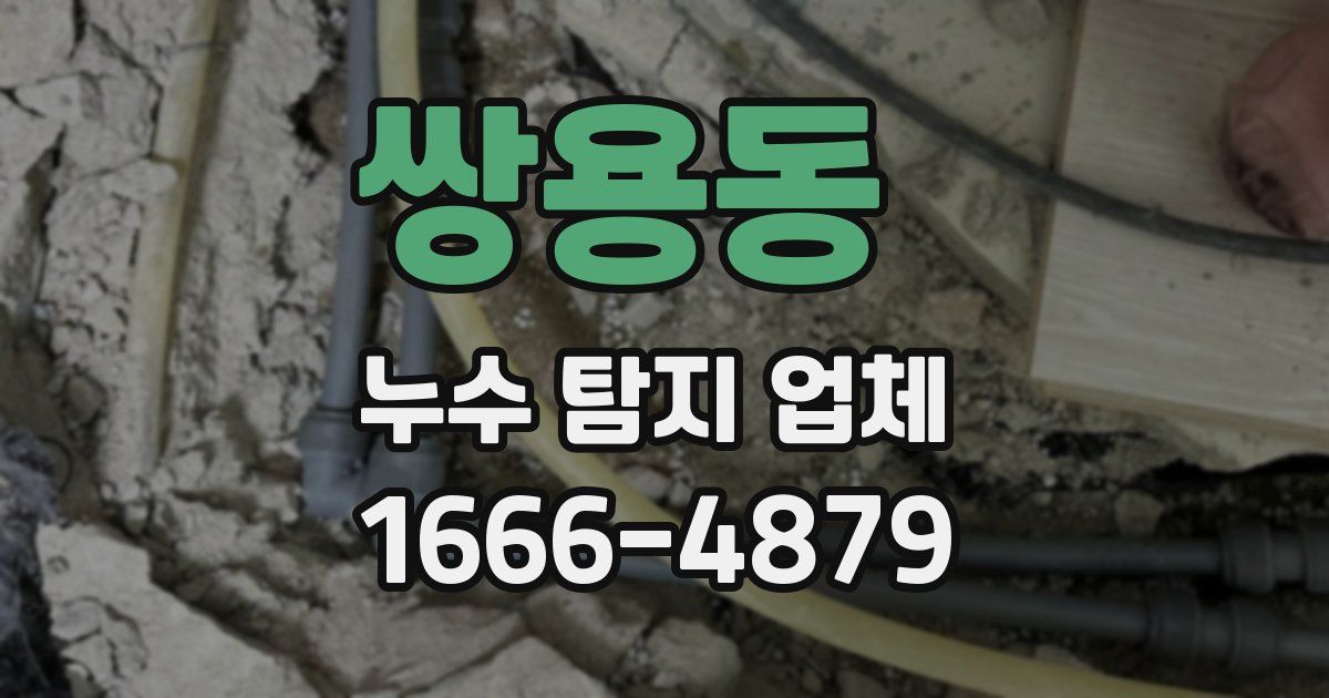 쌍용동 누수 탐지 업체