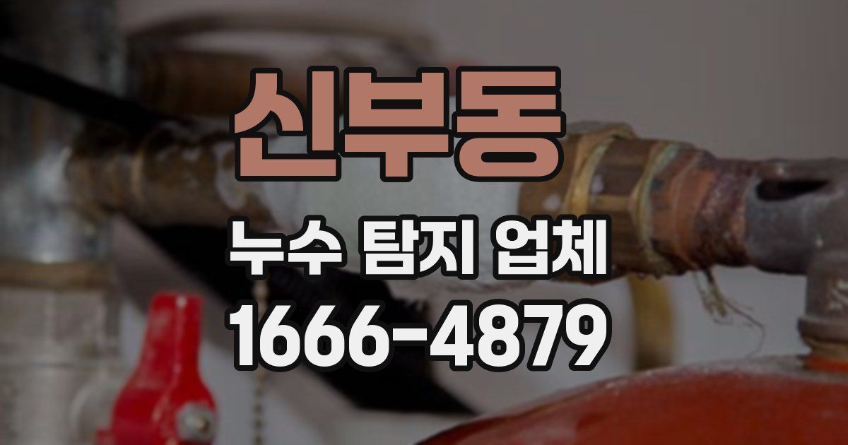 신부동 누수 탐지 업체