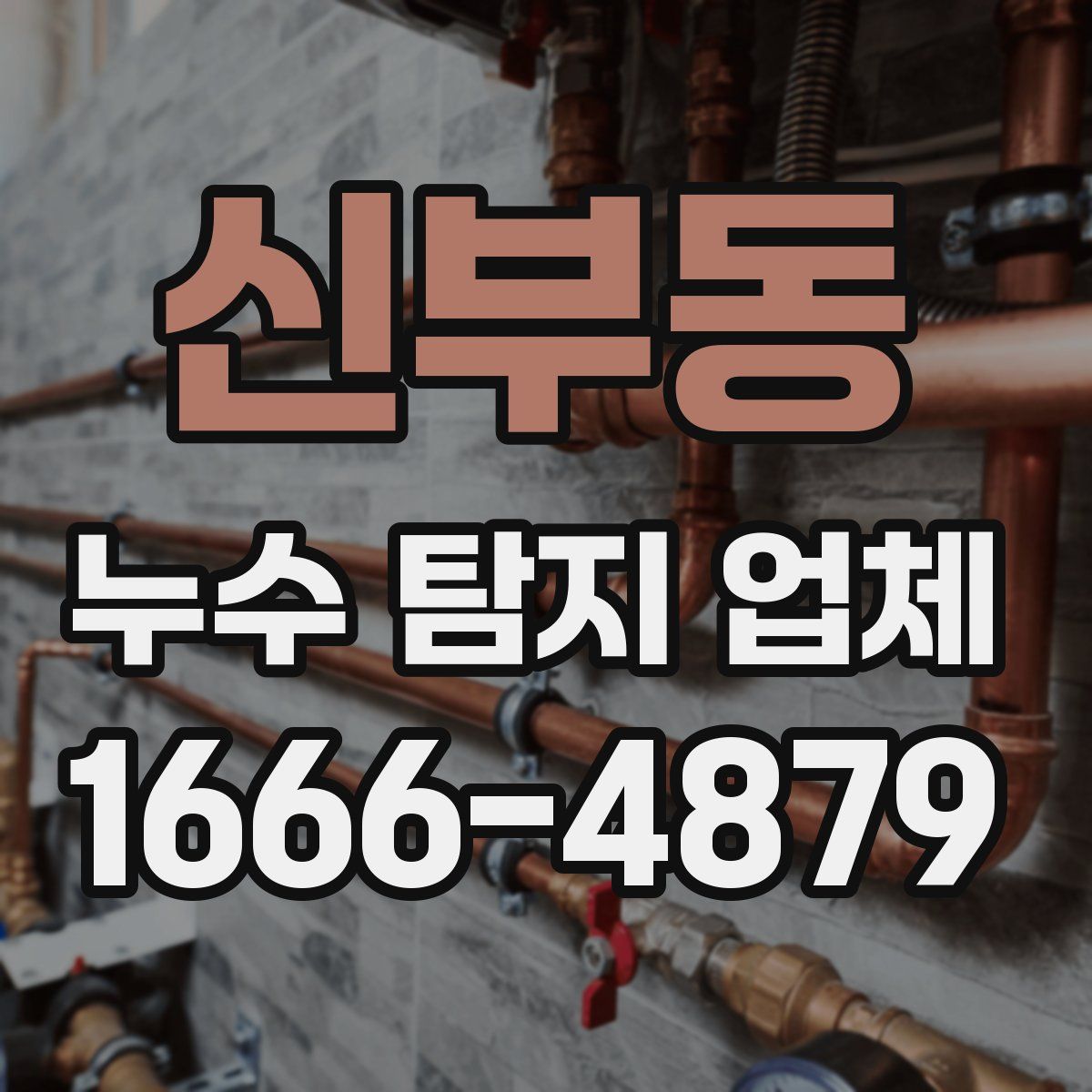 신부동 누수 탐지 업체