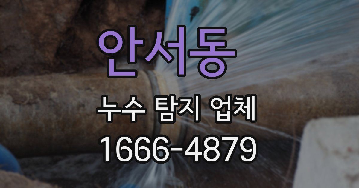 안서동 누수 탐지 업체