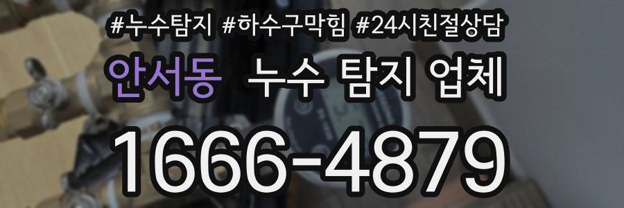 안서동 누수 탐지 업체