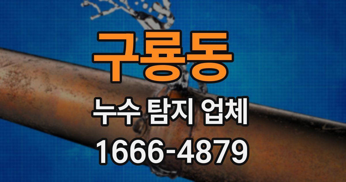 구룡동 누수 탐지 업체