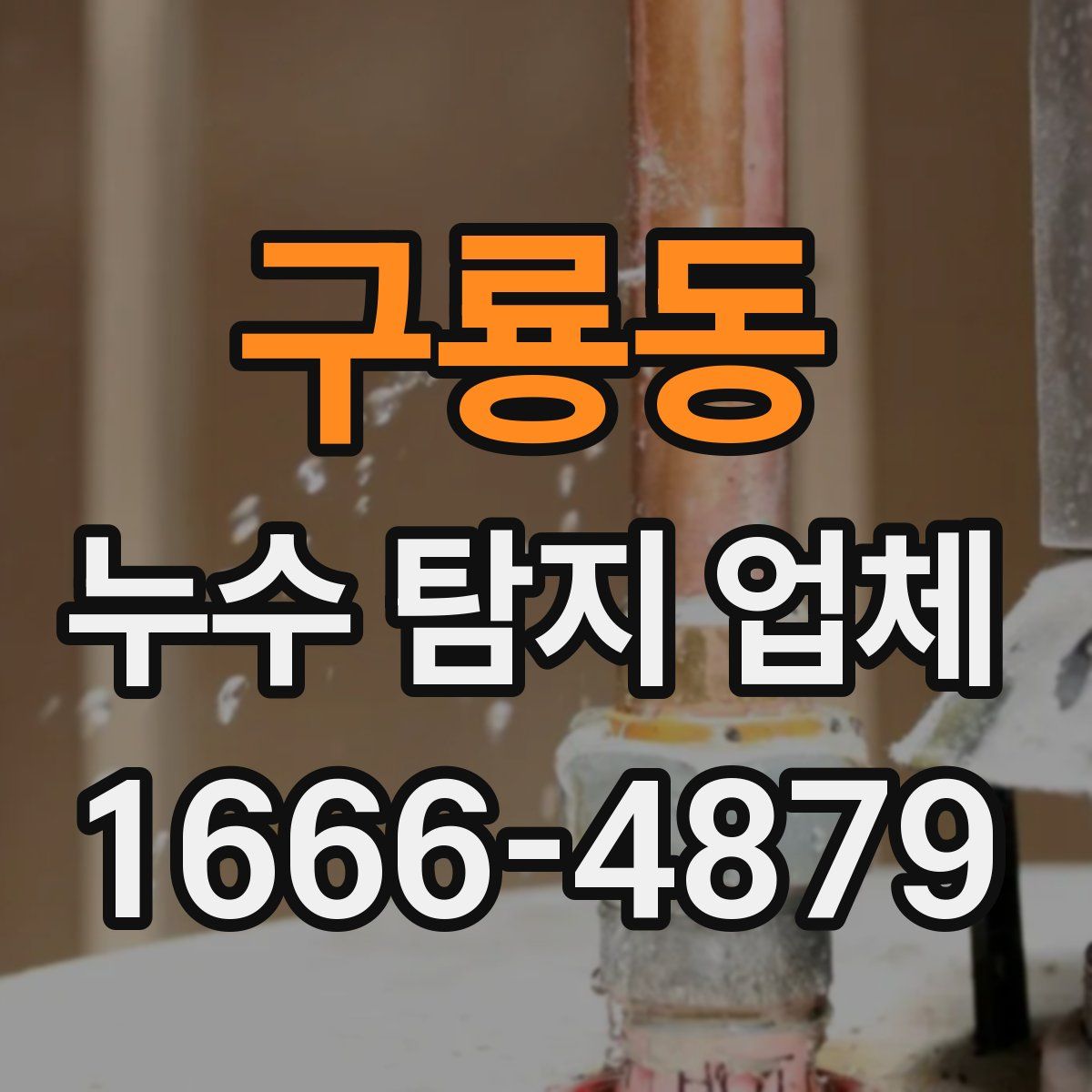 구룡동 누수 탐지 업체