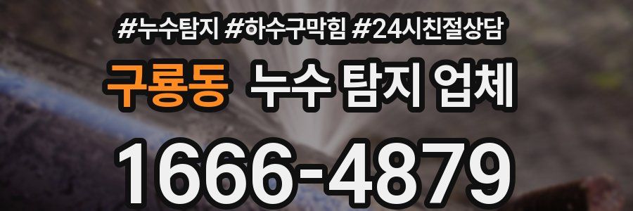 구룡동 누수 탐지 업체