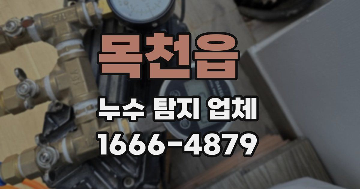 목천읍 누수 탐지 업체