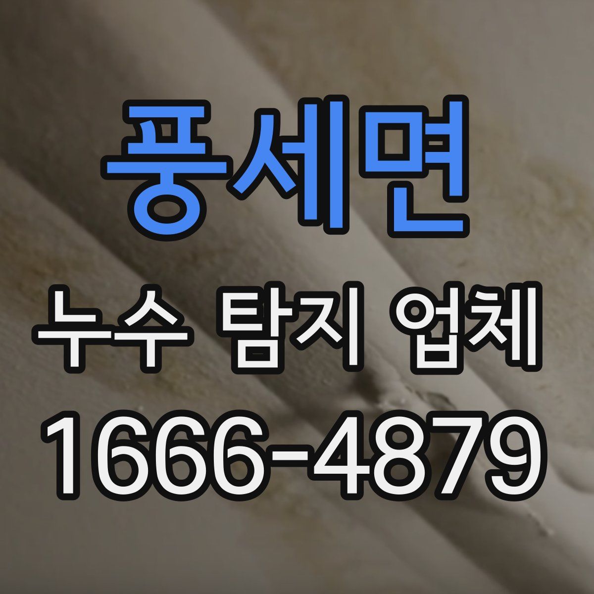 풍세면 누수 탐지 업체