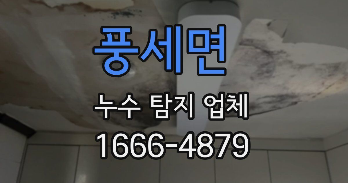 풍세면 누수 탐지 업체