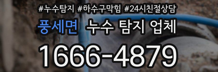 풍세면 누수 탐지 업체