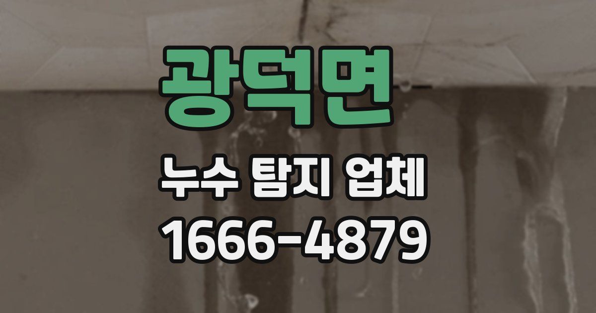 광덕면 누수 탐지 업체