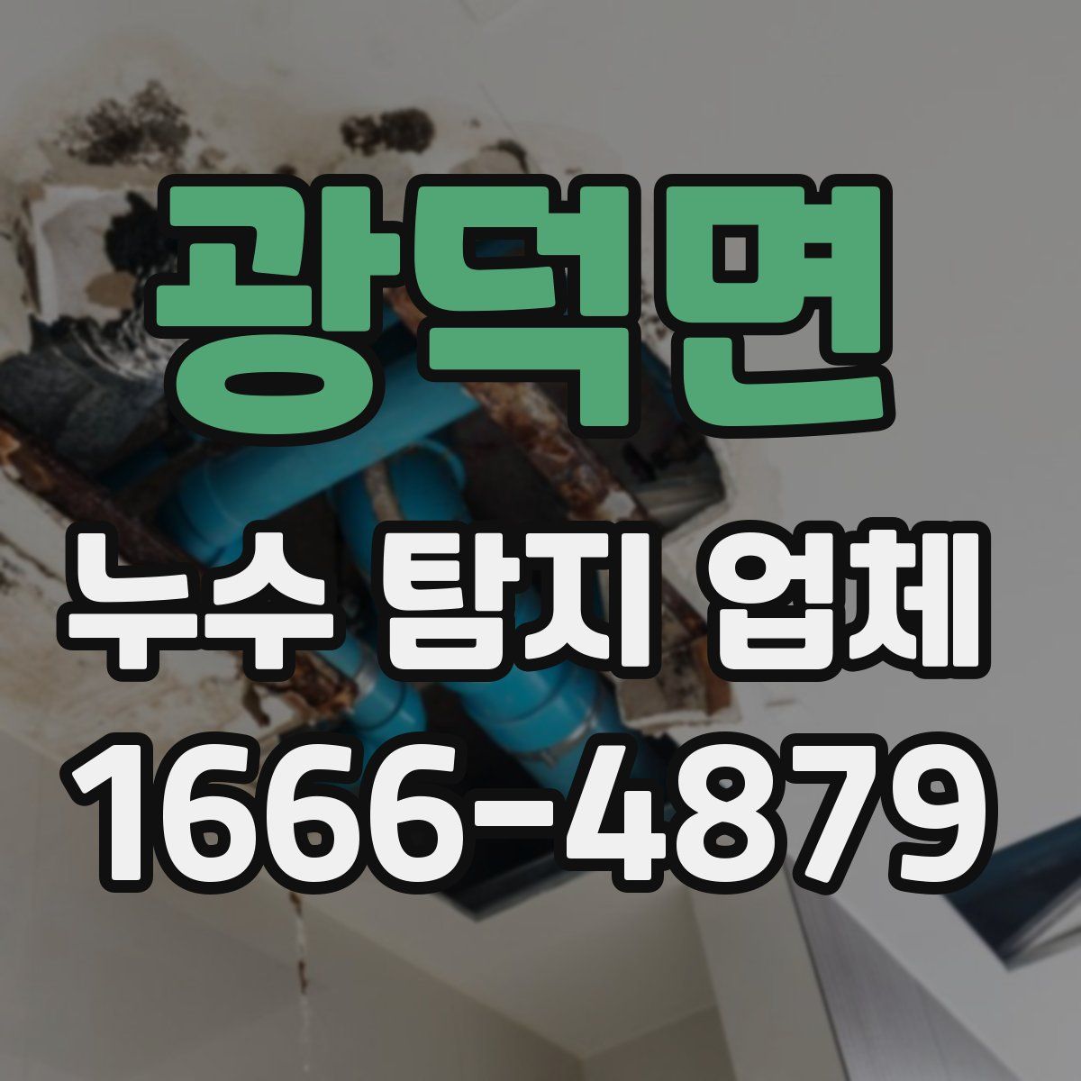 광덕면 누수 탐지 업체