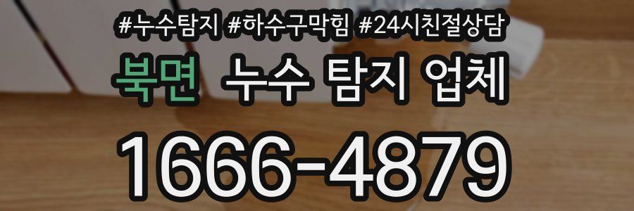 북면 누수 탐지 업체