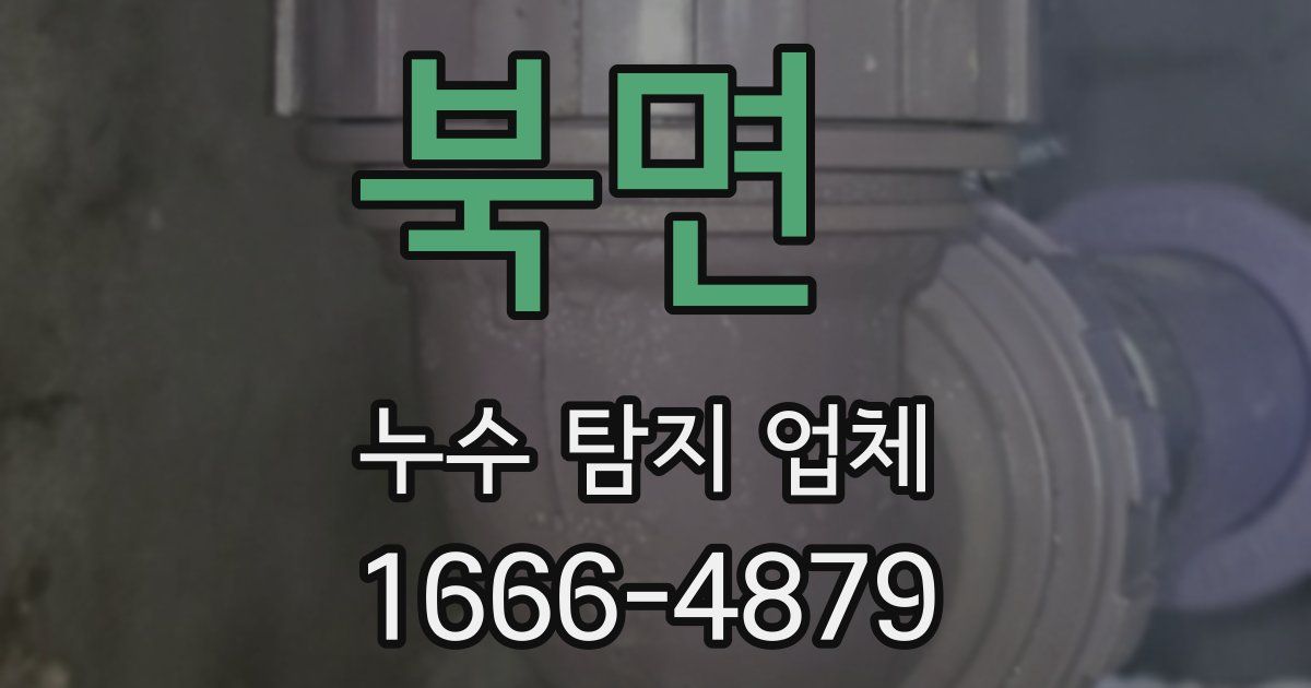 북면 누수 탐지 업체