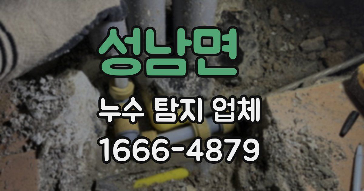 성남면 누수 탐지 업체