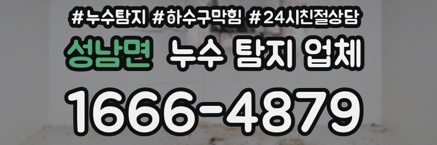 성남면 누수 탐지 업체