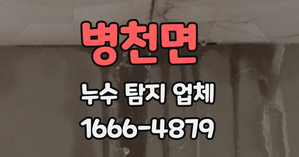 병천면 누수 탐지 업체