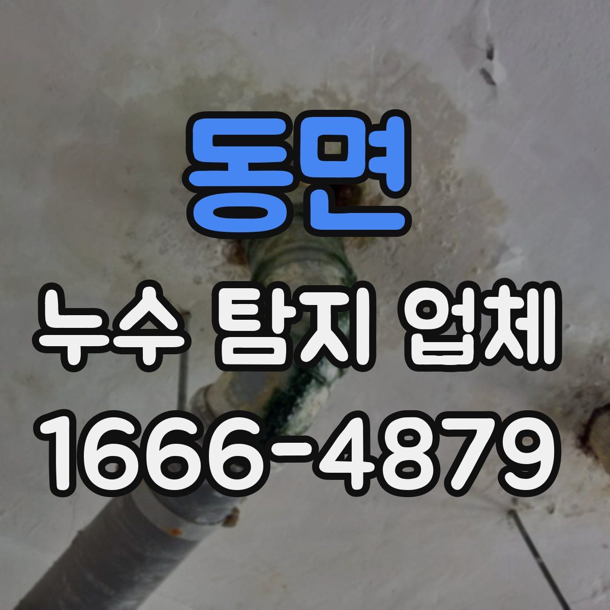 동면 누수 탐지 업체