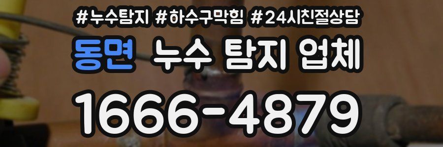 동면 누수 탐지 업체