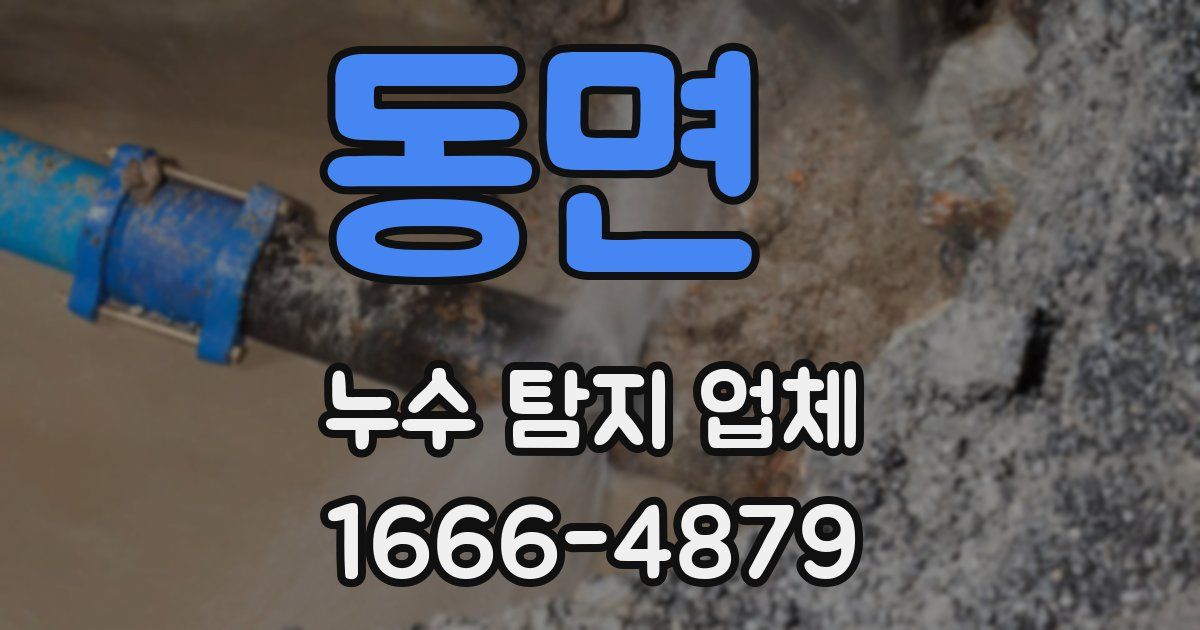 동면 누수 탐지 업체
