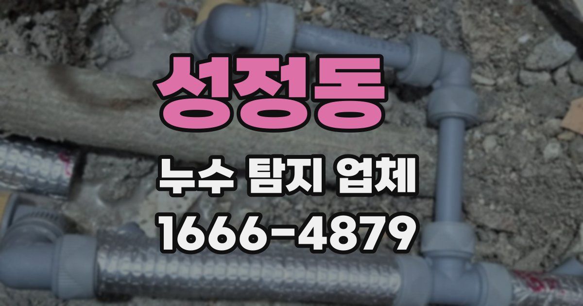 성정동 누수 탐지 업체