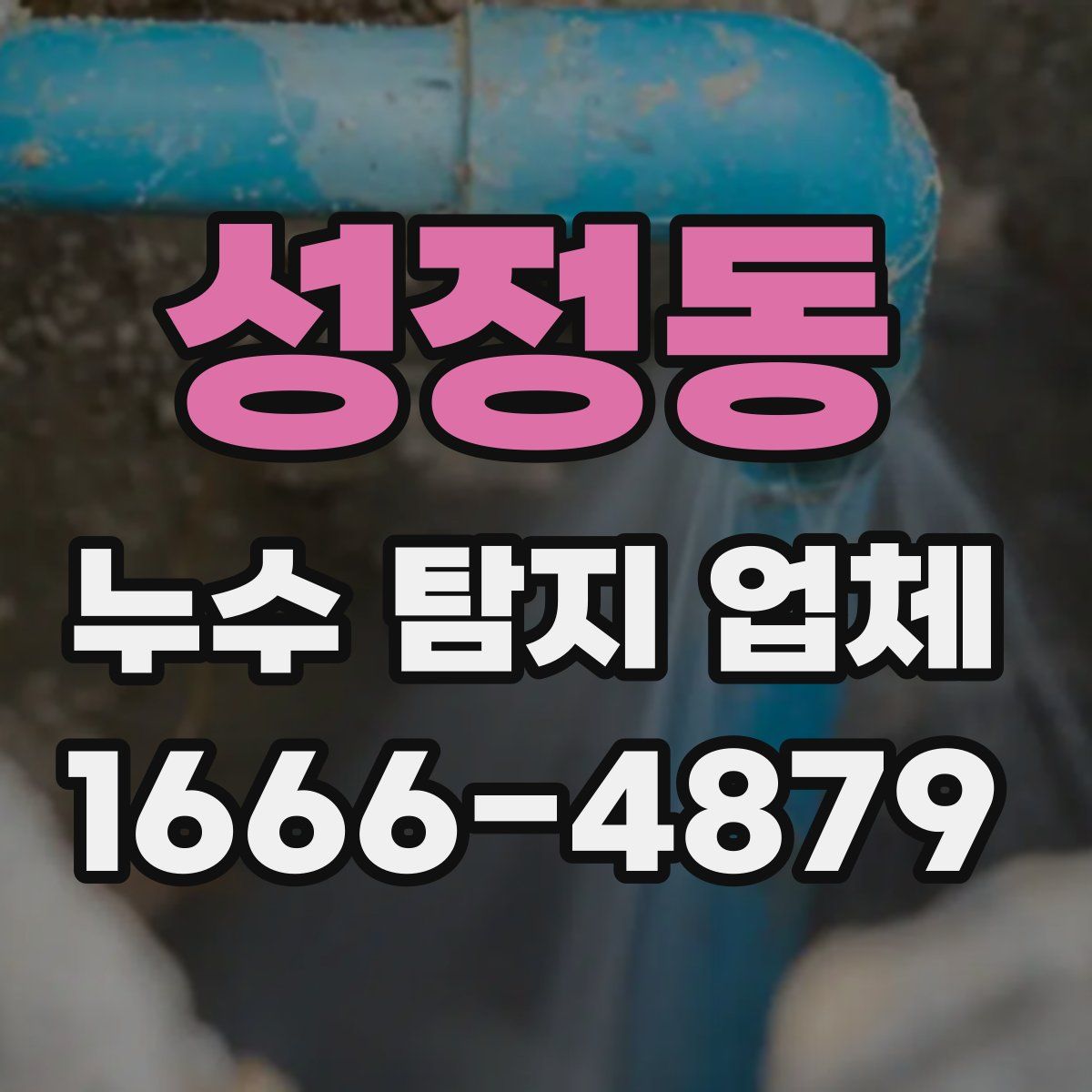 성정동 누수 탐지 업체