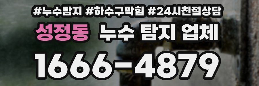 성정동 누수 탐지 업체