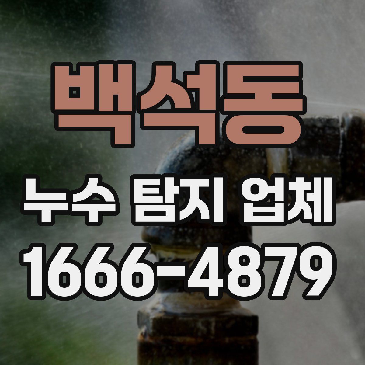 백석동 누수 탐지 업체