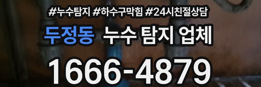 두정동 누수 탐지 업체