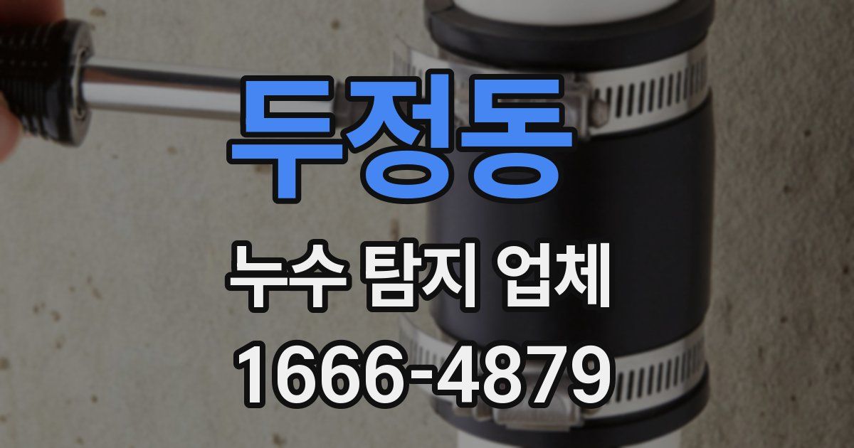 두정동 누수 탐지 업체