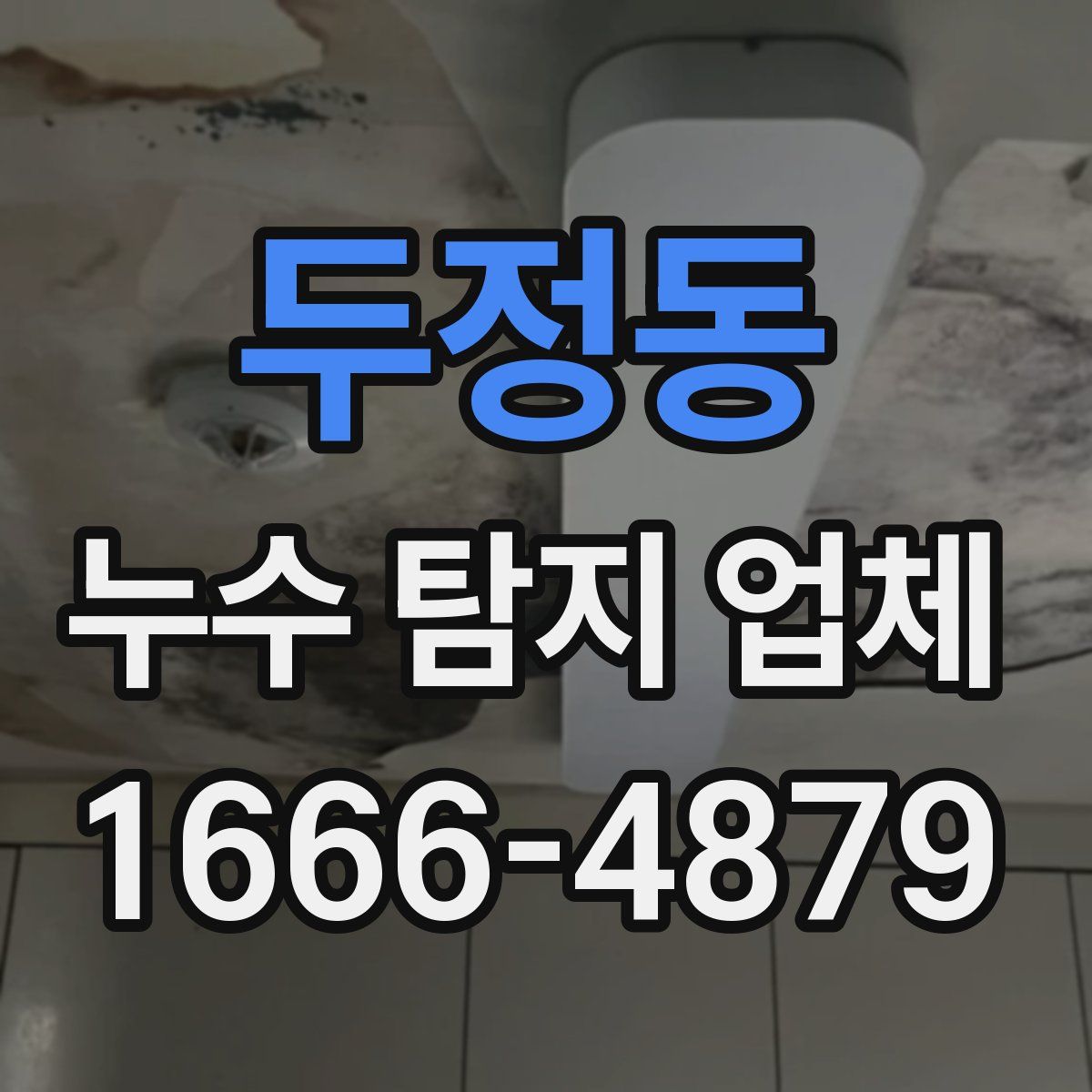 두정동 누수 탐지 업체