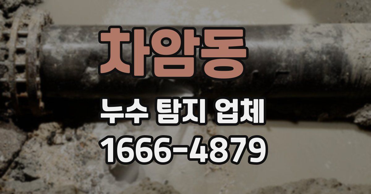 차암동 누수 탐지 업체