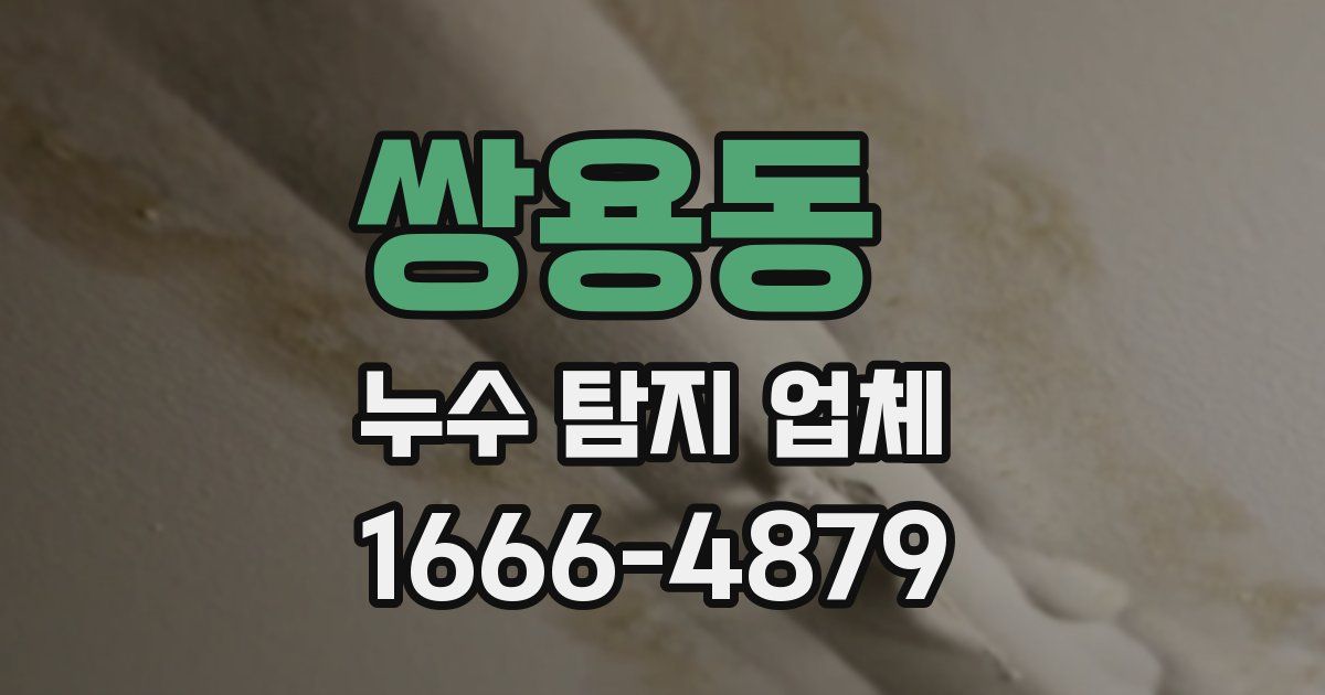 쌍용동 누수 탐지 업체
