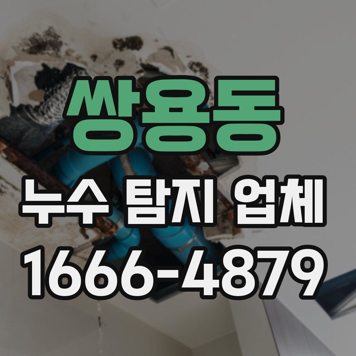 쌍용동 누수 탐지 업체