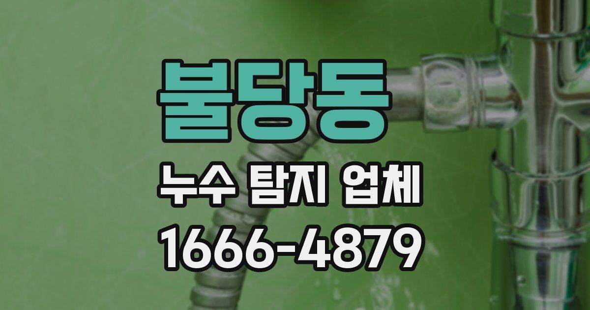 불당동 누수 탐지 업체