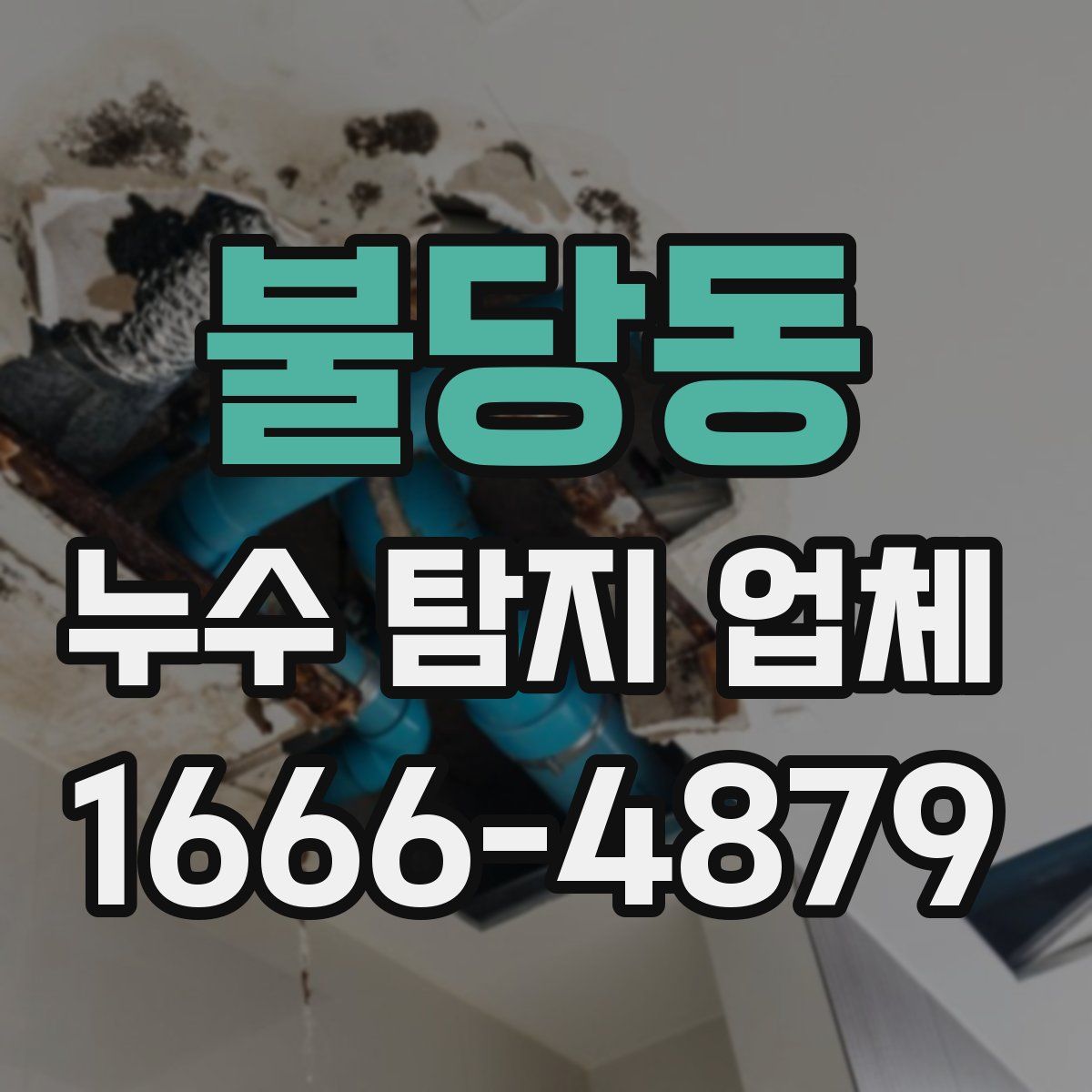 불당동 누수 탐지 업체
